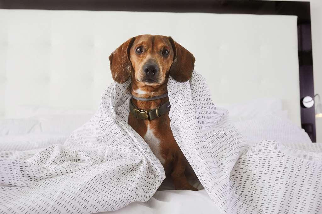 Hotel Innside By Melia Derendorf