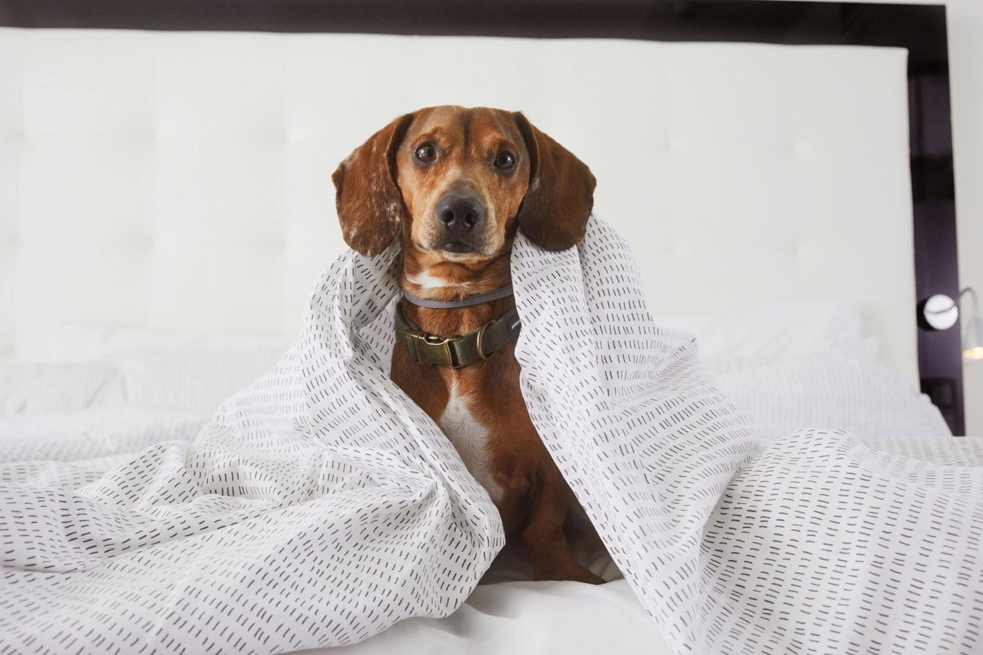 INNSiDE by Meliá Düsseldorf Derendorf 4* Düsseldorf